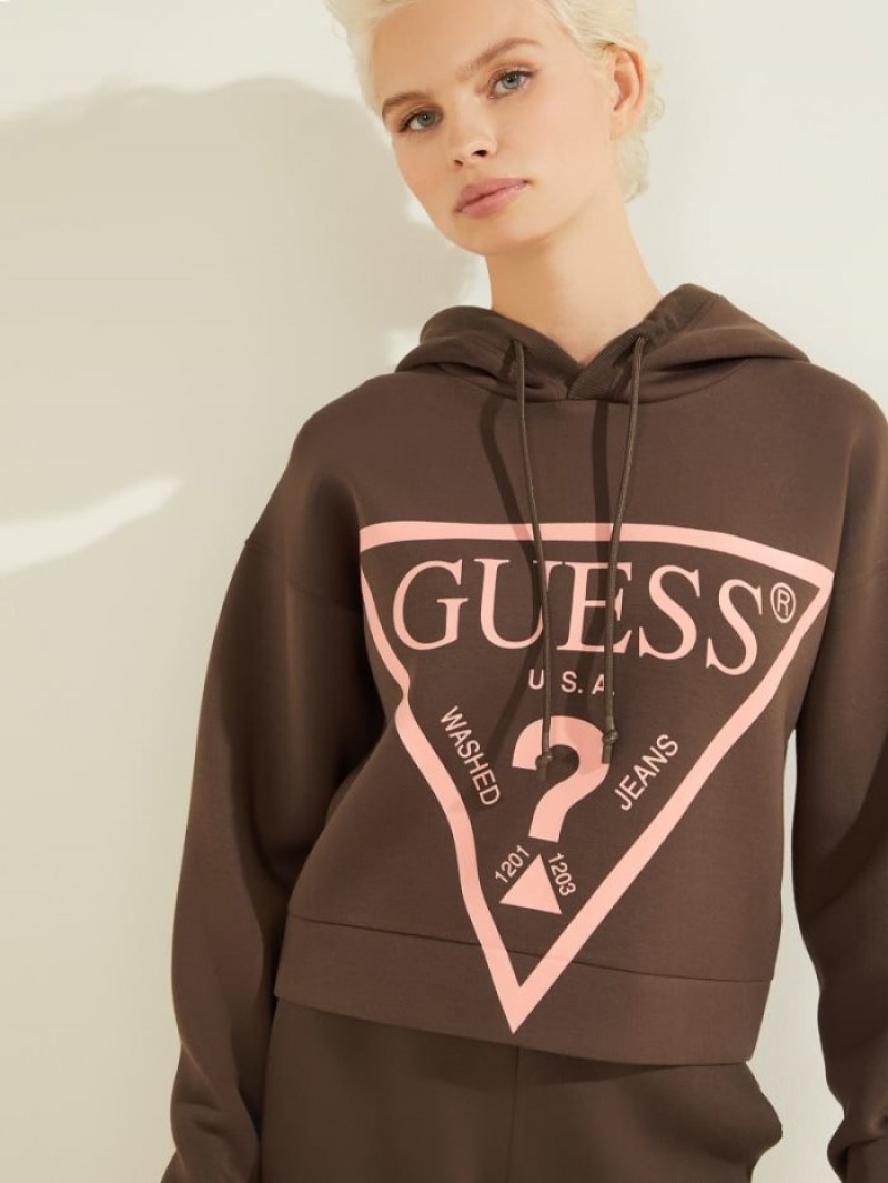 Guess Eco Alisa Logo Kadın Kapüşonlu Sweatshirt Çikolata | 01537JXFL